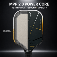 OEM untuk Inferno M1 Style T700 Paddle Pickleball Berkualitas Tinggi Inti Busa MPP 16mm Permukaan SiC untuk Kontrol Daya Putaran dan Latihan