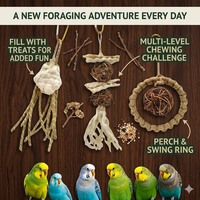 Jouet à mâcher amusant en corde tressée pour perroquet, accessoire éducatif à suspendre pour cage à oiseaux, mini jouet de recherche de nourriture pour la dentition