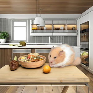 SINCERE, tazón de plataforma de madera automático moderno, incluye comida de juego para mascotas pequeñas, hámsteres sirios enanos, Degus, otras criaturas - Product Image 2