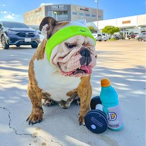 Juguete de peluche para masticar para mascotas, mancuernas para perros, estilo de bebida, resistente a mordeduras, dientes limpios, alivio de dientes, entrenamiento <span class=keywords><strong>interactivo</strong></span>, juguete chirriante - Product Image 4