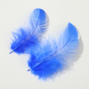 100 pièces/sac plumes de <span class=keywords><strong>poule</strong></span> de coq blanchies et teintes pour carnaval pour la décoration de fête sans jeviews - Product Image 5