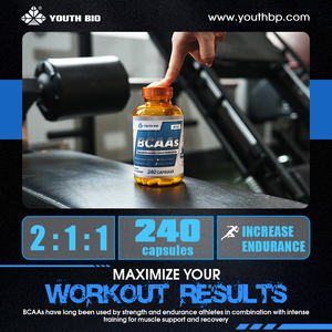 Capsules d'acides aminés BCAA de qualité sportive en gros 2:1:1 – Soutien quotidien pour l'entraînement des athlètes et des culturistes – En stock – 240 capsules - Product Image 3
