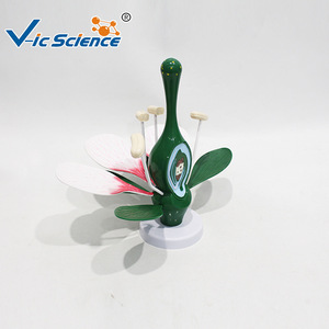 Matériel d'expérimentation biologique pour collégiens : Modèle Fleur de Pêcher, Instruments pédagogiques pour l'expérimentation sur la fleur de pêcher - Product Image 2
