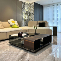Furnistyle Table à thé de luxe en ébène noir de style italien Table basse carrée contemporaine haut de gamme Meubles de maison modernes en métal