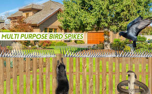 Fabriek Groothandel Goedkope Prijs Bron Tuin Anti-Vuil Roestvrij Staal Spike Anti Vogel Duif Spikes - Product Image 4