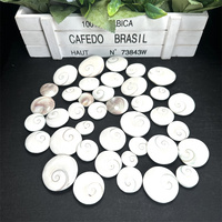 Cristal naturel Wafer Sun Shell pierres de guérison Sun Shell Wafer ornements pour la décoration de la maison