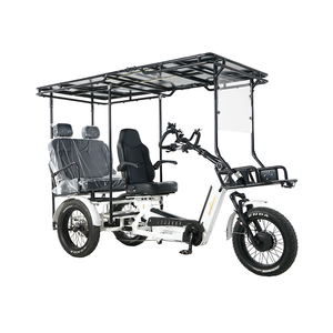 Triciclo Eléctrico de 3 Ruedas de Alta Calidad en Oferta, para Adultos, Doble Asiento, Carga Pesada, Abierto, 2500W, Precio Económico - Product Image 5