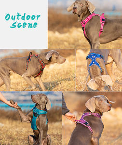 OEM شعار مخصص مصمم ممتاز فاخر مريح بدون سحب مجموعة تسخير القط الكلب مقاوم للهروب عاكس - Product Image 6