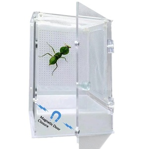 Cage d'élevage rectangulaire à double porte à attraction magnétique pour insectes vivants, reptiles, insectes chanteurs et insectes sauteurs, petite et grande taille - Product Image 5