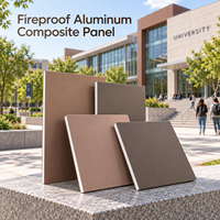 Panneau composite en aluminium ignifuge de 4 mm 1220x2440 mm en or champagne pour le revêtement des halls d'ascenseurs