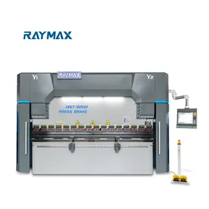 RAYMAX WF67K enerji tasarrufu akıllı CNC basın fren hidrolik paslanmaz çelik bükme makinesi basın fren