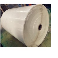 Rouleaux d'étiquettes Jumbo imperméables avec logo imprimé pour l'emballage Vente Étiquettes de logo imprimé