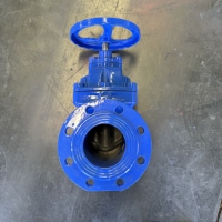 Vanne à opercule à joint souple en fonte ductile à commande manuelle PN10/PN16 basse température pour l'eau 2 pouces