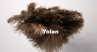 Plumeau en Plumes d'Autruche Authentiques d'Afrique du Sud, Manche en Bois Massif, Sangle de Suspension, Lavable et Réutilisable, Nettoyeur de Poussière – Vente en Gros