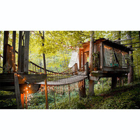 Parc de jeux commercial en bois avec pont de cordes et quincaillerie en acier inoxydable 304 pour parcs extérieurs et stations balnéaires
