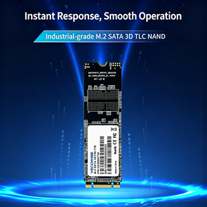 SSD M.2 2242 di Grado Industriale Pronto per la Consegna, Monitoraggio della Salute S M A R T per Unità di Controllo Embedded Mediche, Fornitura Immediata - Product Image 3