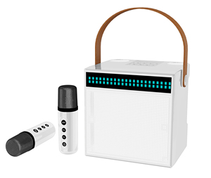 Nhà Máy Bán Hàng Trực Tiếp Nhà Máy Karaoke Máy Xách Tay <span class=keywords><strong>Mini</strong></span> Karaoke K12 Trẻ Em Bluetooth Loa Với Hai mics Nhà Hát Karaoke - Product Image 6