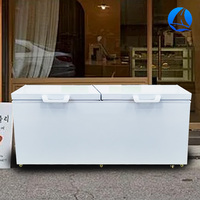 Réfrigérateur commercial horizontal à deux portes, congélateur bas, grande capacité, armoire à glace, refroidissement par air
