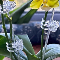 Support de culture pour plantes Poteaux de support pour plantes de jardin Piquets acryliques pour plantes de 15.6 pouces Piquet d'orchidées transparent