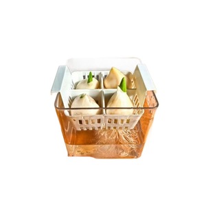 Hydroponic Tulip Grower Set Transparent Plastic Planter With Basket For Desktop Use <b>Square</b> Design Minimalist Style A-130 - Product Image 1
