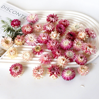 Bunga Daisy Kering Berwarna Pilihan Grosir Dipadukan dengan Kepala Bunga Kecil Alami dari Jerami Gandum untuk Dekorasi Bahan DIY