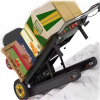 Carretilla Ergonómica Eléctrica de Acero Inoxidable Galvanizado con Estructura de Plataforma, Personalizable OEM, Portátil y Compacta