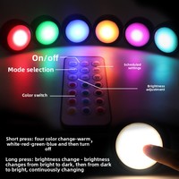 Éclairage d'armoire à piles RGB à 13 couleurs, télécommandé et à intensité variable, veilleuse, ambiance festive, minimalisme moderne