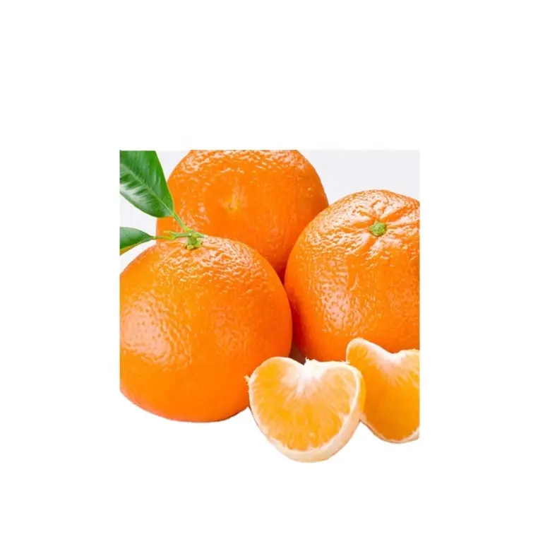 新鮮なオレンジ色のバイヤー新鮮なみかん