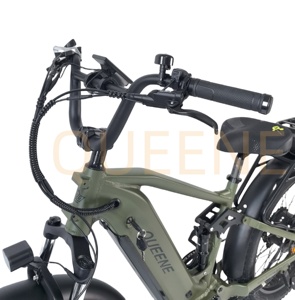 NOUVEAU 2025 Vélo Électrique Tout-Terrain à Suspension Intégrale, Pneus Larges 26 Pouces, Double Batterie, Moteur 48V 52V 60V 750W 1500W 2000W, Modèle TDE09Z - Product Image 2