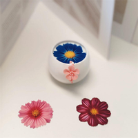 Accessoires de décoration de gâteaux : Feuilles de décorations comestibles personnalisables avec impression d'images, en papier sucré, pour boissons, donuts et desserts