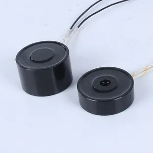 Dc Micro Round Lift Electromagnet Circular Holding Electromagnet 12v 24v Dc 20kg 50kg Mini Magnetic Lifter