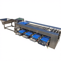 Elektronische Kiwi Wortel Passievrucht Roller Sizer Sorteermachine Groenten Fruit Sorteerlijn Aardbeien Verwerkingslijn 304