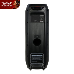 Mới tùy chỉnh kép 10 inch Bluetooth Loa DJ karaoke thiết bị âm thanh TWS bên sấm sét lớn âm thanh sáng bóng - Product Image 5