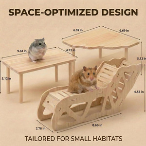Ensemble de jeu pour hamster en bois gravé fait main, design moderne, plateforme et tunnel en bois naturel, Artware - Product Image 4