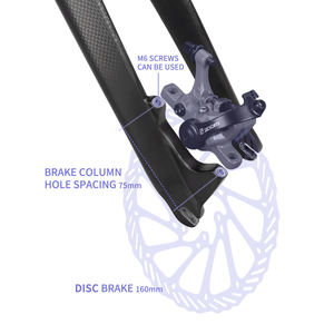 <span class=keywords><strong>Fourche</strong></span> de vélo en carbone intégral haut de gamme, noire mate, 3k, <span class=keywords><strong>rigide</strong></span>, frein à disque, 26/27,5/29 pouces, 29er, sans suspension - Product Image 5