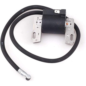 Bobine d'allumage Briggs & Stratton 398811 pour moteur de tondeuse à gazon à essence monocylindre 7 16Hp - Product Image 1