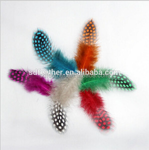 Plumas <span class=keywords><strong>de</strong></span> <span class=keywords><strong>Gallina</strong></span> <span class=keywords><strong>de</strong></span> <span class=keywords><strong>Guinea</strong></span> Teñidas <span class=keywords><strong>de</strong></span> Colores, <span class=keywords><strong>de</strong></span> 1 a 3 Pulgadas, <span class=keywords><strong>de</strong></span> Excelente Calidad, <span class=keywords><strong>Precio</strong></span> Económico, Personalizadas, para Decoración <span class=keywords><strong>de</strong></span> Fiestas, Venta al Por Mayor <span class=keywords><strong>de</strong></span> Fábrica - Product Image 6