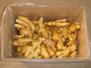 New Arrival <strong>Fresh</strong> <strong>Ginger</strong> and air Dried <strong>Ginger</strong> From Chinese Wholesale Supplier with Good <strong>Ginger</strong> Price - Product Image 3