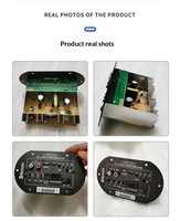 Carte amplificateur de subwoofer 6, 8 et 10 pouces pour usage domestique 220V et automobile 12V/24V, carte mère audio fabriquée