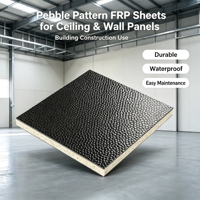 Láminas de FRP con Patrón de Guijarros Duraderas para Techos y Paneles de Pared, Construcción de Edificios, Fáciles de Limpiar