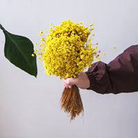 Groothandelsprijs Hoge Kwaliteit 12cm Gedroogde Chasmanthium Kunstmatige Ge conserveerde Mini Sterbloemen 12cm voor Valentijnsdag Kerstmis