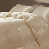 Couette en duvet de tissu de soie de luxe Couette haut de gamme Couverture en duvet chaude Couette Couette Premium Couette en duvet d'hôtel Insert de couette