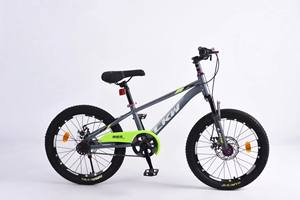 Bicicleta Infantil Nueva con Cuadro de Acero al Carbono Totalmente Resistente a Impactos, Horquilla, Ruedas de 20 Pulgadas, Frenos de Disco, Ruedas de Entrenamiento, Sillín Impermeable, Una Sola Velocidad - Product Image 3