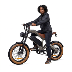 Bicicleta Eléctrica de Montaña M20 con Ruedas de 20*4.0 Pulgadas, Bicicleta Eléctrica para Adultos con Neumáticos Anchos, Bicicleta Eléctrica de 20 Pulgadas, Moped, Ebike, OEM, ODM - Product Image 1