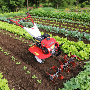 JINKE 10HP Diesel Walking Tractor <b>Cultivator</b> | High Productivity Mini Tiller for Small Farm Soil Preparation Weeding CE - Product Image 1