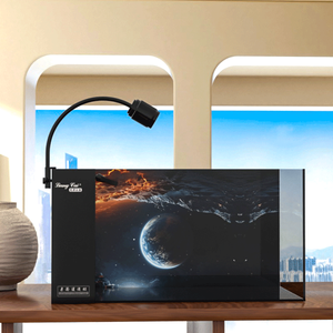 Kleine 24l Vierkante Glazen Milieuvriendelijke Moderne Desktop Kant Overloop Zoetwater Aquarium Voor Kantoor - Product Image 5