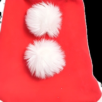 Cape de Noël rouge pour animaux de compagnie avec bordure en fourrure, tenue de fête pour chiots et chats