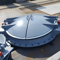 Clapet anti-retour à double volet série BLS DN300-DN2000 en acier au carbone SS304 avec joint EPDM, à fermeture automatique par gravité