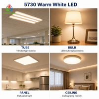 Vente en gros de LED SMD Shengtian 5730 blanc chaud 3500K 0,5W 150mA 3V avec garantie de 2 ans en stock pour l'éclairage