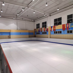 Tác động kháng uhmwpe Ice Skate Board <span class=keywords><strong>Inline</strong></span> Hockey bên sân trượt băng nhân tạo trong nhà - Product Image 5